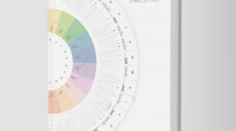 illustrazione-infografica