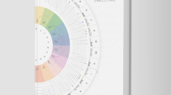 illustrazione-infografica